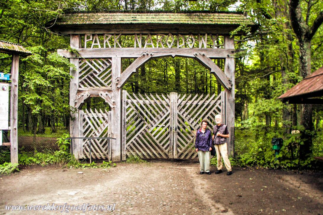 World Heritage Photos - Białowieża Forest